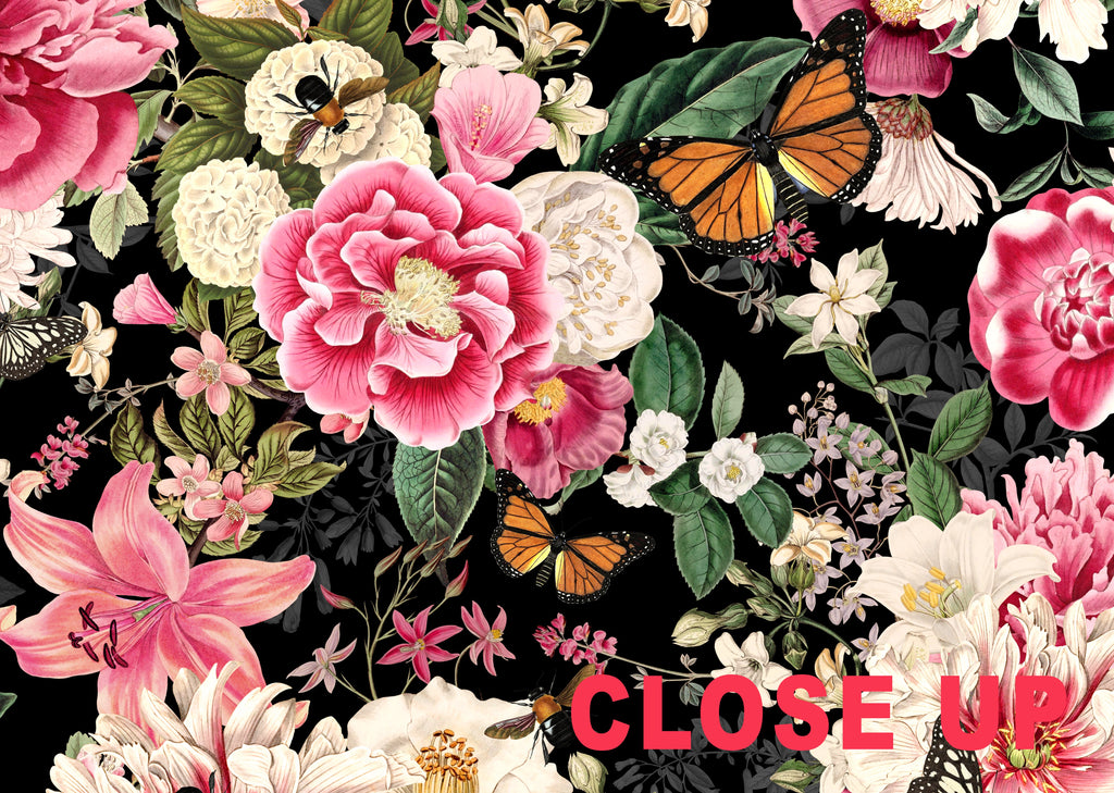 Floral Fantasy Blooms & Butterflies — Bold Florals Luxury Wallpaper Mural
