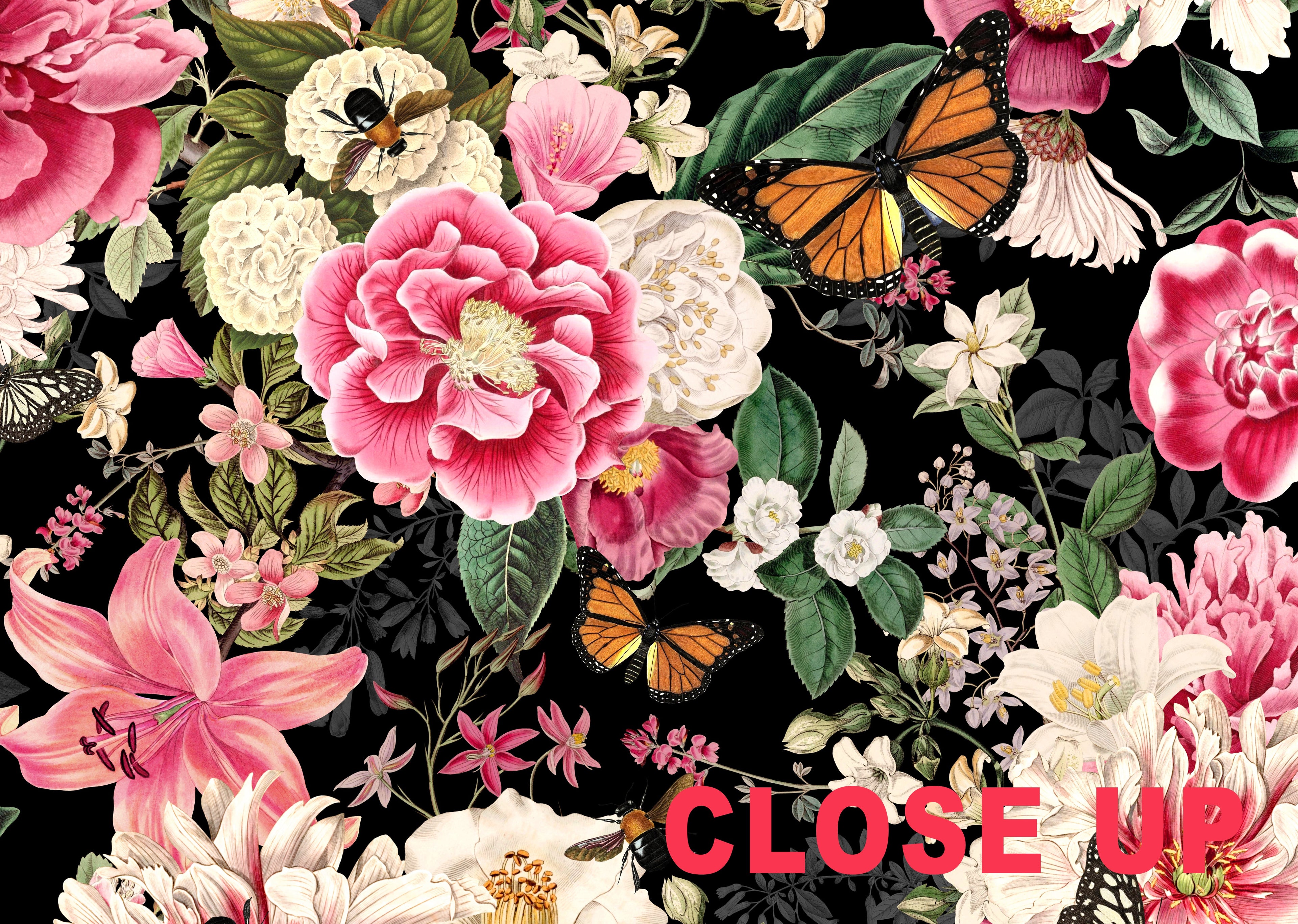 Floral Fantasy Blooms & Butterflies — Bold Florals Luxury Wallpaper Mural