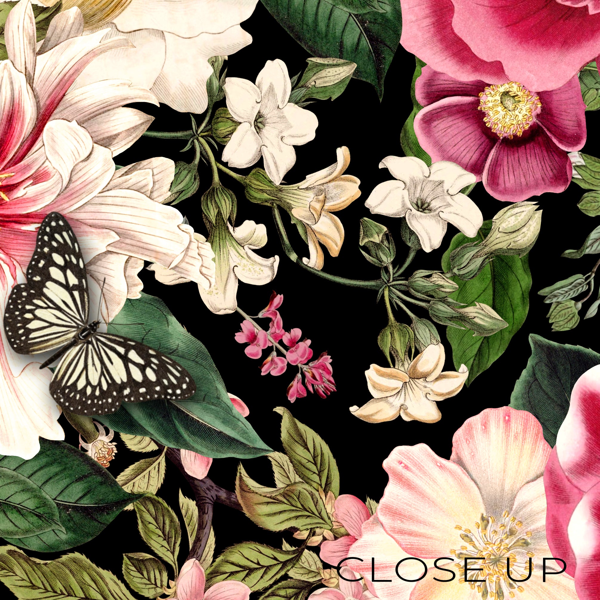 Butterfly Garden  —  Bold Florals Luxury Wallpaper