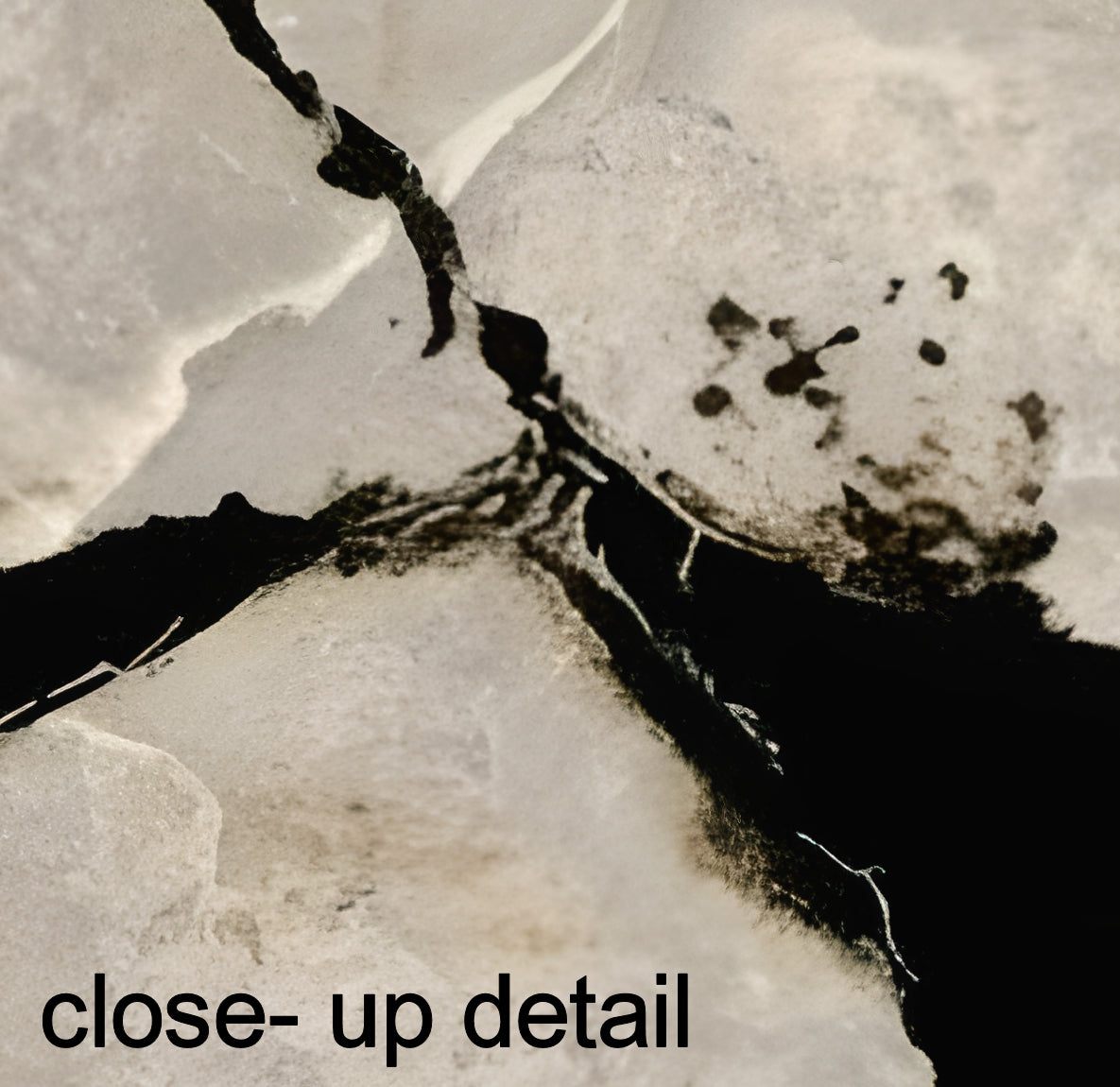 Onyx & Cream — Luxe Textures Luxury Wallpaper Mural